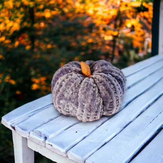 Velvet Gray Pumpkin