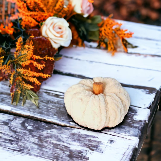 Velvet Beige Pumpkin